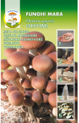 Growing poplar mushrooms with Spawn Plugs