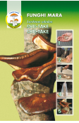 Chiodi di Micelio per coltivare il fungo Shiitake
