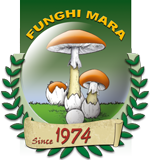 <p>
	Funghi Mara - con passione dal 1974</p>
