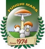 <p>
	Funghi Mara - con passione dal 1974</p>
