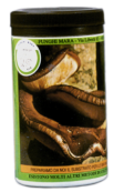 Barattolo Micelio secco Shiitake