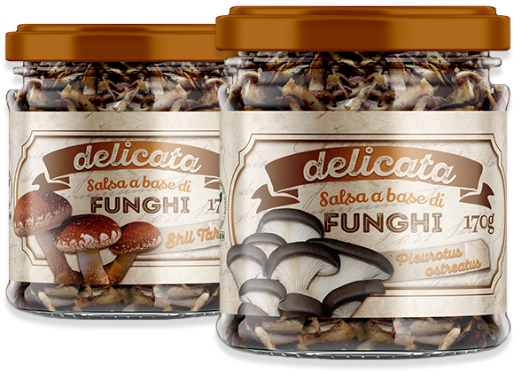 Salsa Delicata di fungo Pleurotus o fungo Shii-Take